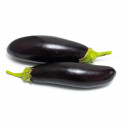 Eggplant Spain 500g